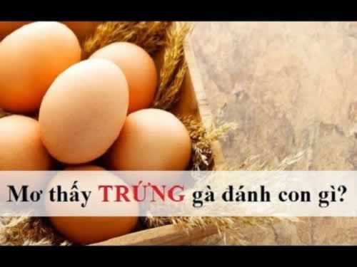 Hình minh họa — Nohu
