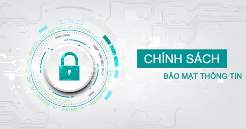 Hình minh họa — Nohu