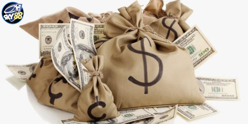 Hình minh họa — Nohu